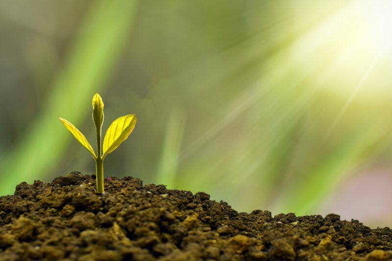 100 a Day Can Make You a Crorepati! Here’s How SIPs in Mutual Funds Can Build 1 Crore Over Time